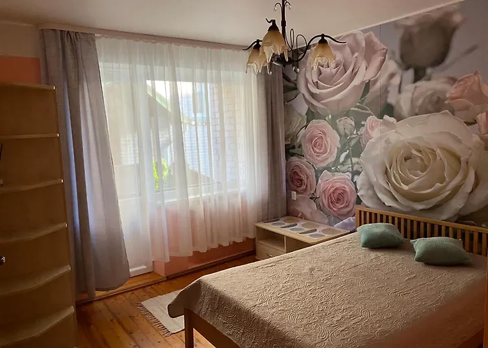 Aurelija בית הארחה 3*